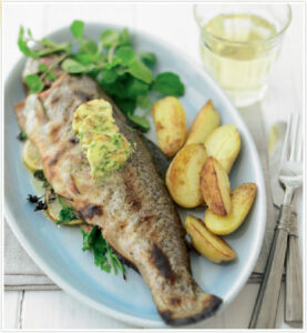 grilled-trout