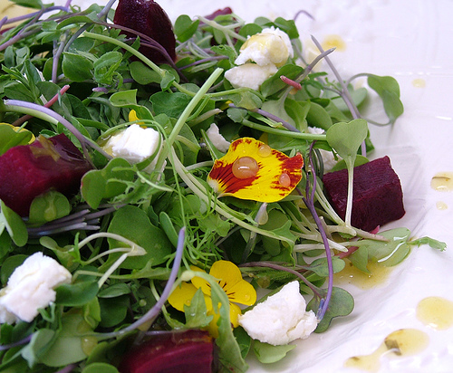 salad-with-edible-flowers