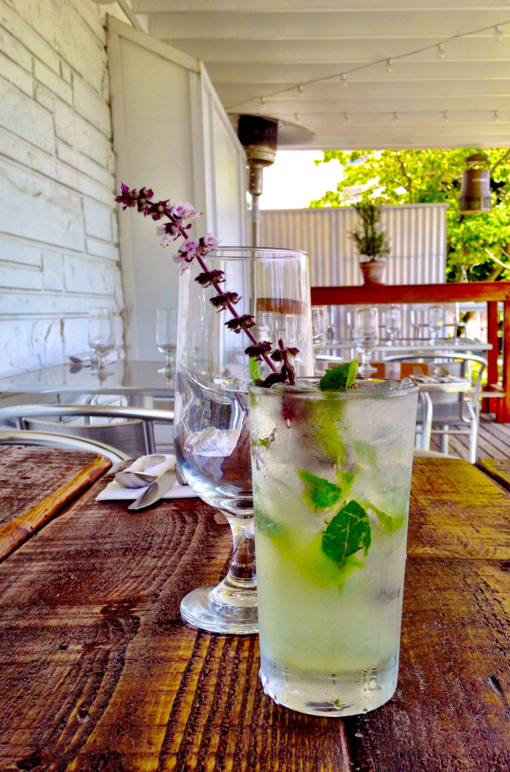 Thai Basil Gimlet Fresh from the Garden Seasonal food blog of Chef