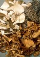 Dried Mushroom Recipes2