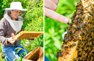 Laura Klahre-beekeeper-BlossomMeadowHoney