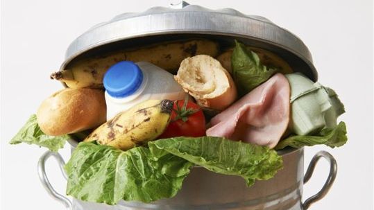  Celebrate Earth Day at home by stamping out food waste